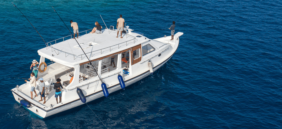 Expert 6-Hour Wreck Dive